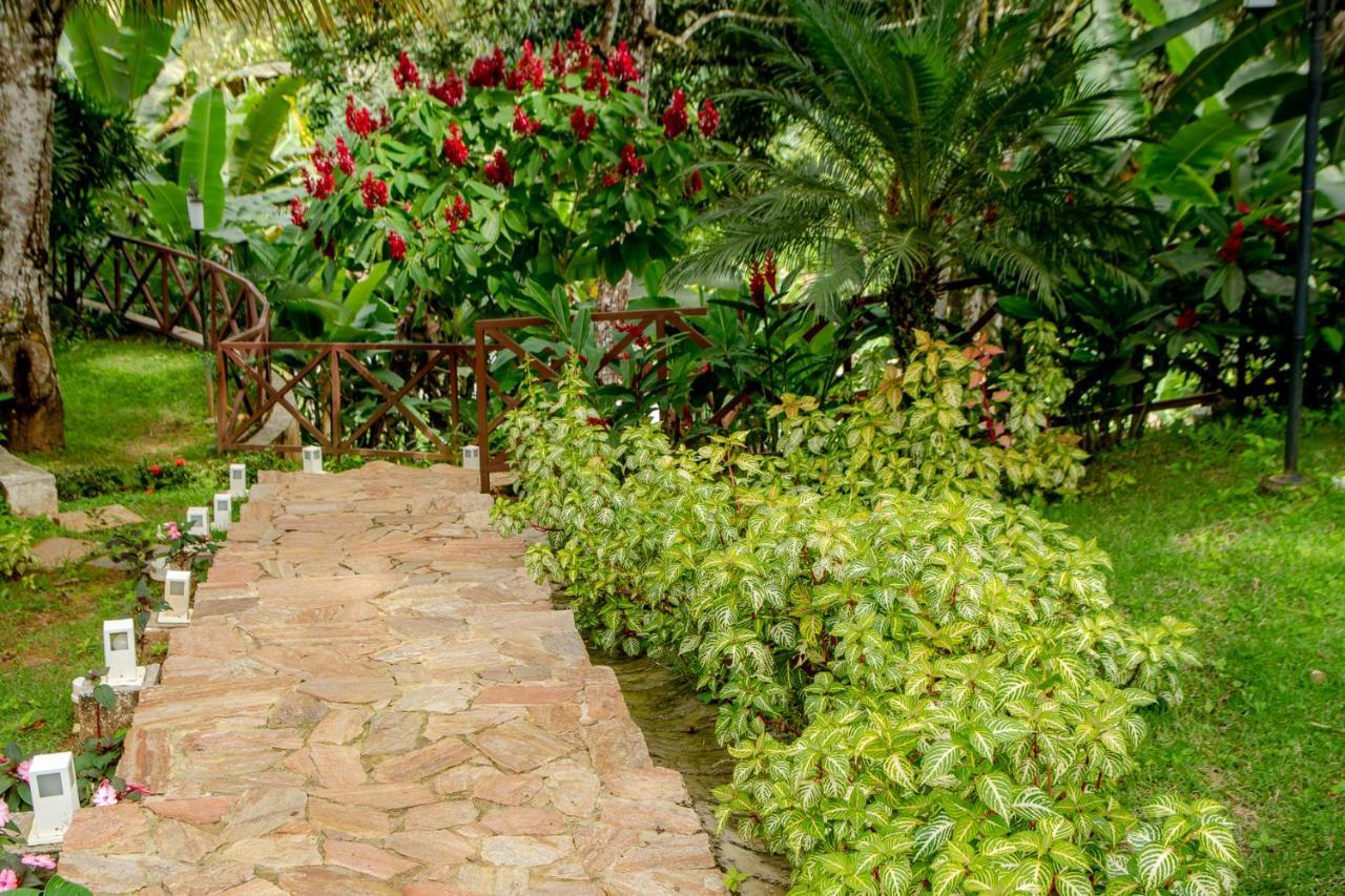 Hotel Cantinho Das Flores グアラミランガ エクステリア 写真